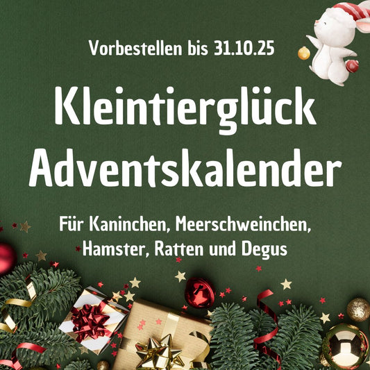 Adventskalender 2025
